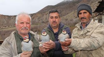 Erzurum'da Keklik Popülasyonu İçin Geniş Çaplı Envanter Çalışması
