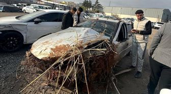 Kontrolden çıkarak devrilen otomobilin sürücüsü öldü