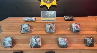 Şanlıurfa'da 8 kilo skunk ele geçirildi