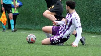 TFF 3. Lig: Çayelispor: 3 Hopaspor: 2