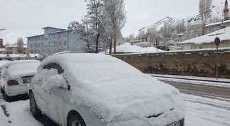 Van Başkale'de kar yağışı