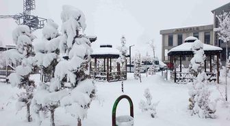 Başkale'de kar yağışı
