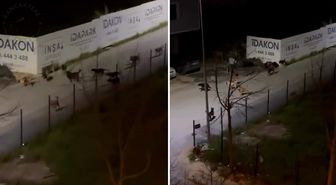 Sancaktepe'de ürküten manzara! Videoyu izleyenler belediye başkanını etiketledi