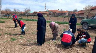 Aslanapa'da çiftçilere yönelik eğitim ve saha çalışmaları gerçekleştirildi