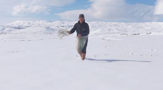 Karla kaplı tarlaya yonca ekti