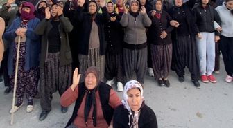 Mersin'de ormanlık alana ekili narenciye bahçelerinin kaldırılması kararına tepki