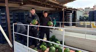 Antalya'da sezonun ilk karpuz hasadı yapıldı
