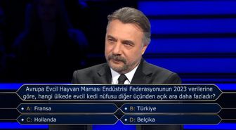 Avrupa Evcil Hayvan Maması Endüstrisi Federasyonunun 2023 verilerine göre, hangi ülkede evcil kedi nüfusu diğer üçünden açık ara daha fazladır?
