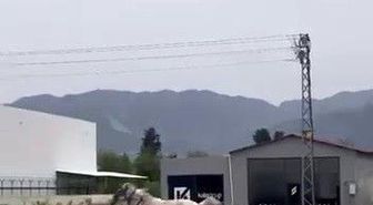 Akan trafikte panik anları: Kaçak at pistte yarışırcasına ilerledi