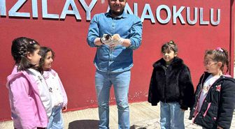 Anaokulunun misafiri 'Fındık' 6 yavru dünyaya getirdi