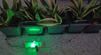 Bitkilerden elektrik üretildi; Bolu ve Ankara'dan ekip biyopil geliştirdi
