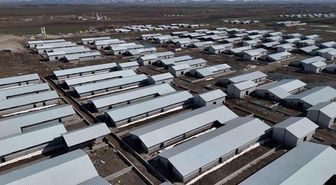 Ağrı'da 307 ahırlık hayvancılık üssü hayata geçiyor