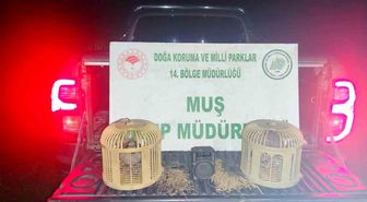 Muş'ta kaçak keklik avına suçüstü: 65 bin TL ceza kesildi