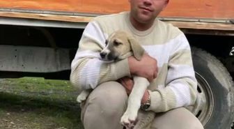 Ordu'da ciple çarpışan motosikletin sürücüsü öldü