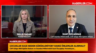 CHP İstanbul Milletvekili Suat Özçağdaş: Bireysel silahlanma marifetmiş gibi algılanıyor