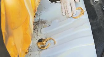 Iğdır'da Kuyumculara Sahte Altın Satmaya Çalışan 2 Kişi Yakalandı