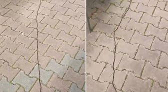 İstanbullular diken üstünde! Çam kese tırtılı böyle görüntülendi