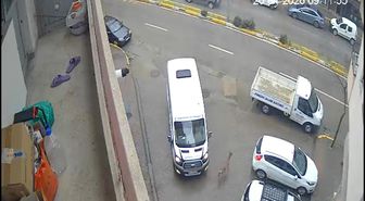 Karaca Giresun'un Görele ilçesinde şehir merkezine indi: iki araca çarptı, gözden kayboldu