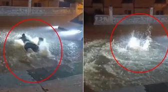 Mardin'de kuvvetli sağanak sonucu cadde ve sokaklar sular altında kaldı