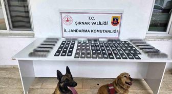 Şırnak'ta jandarmadan asayiş, kaçakçılık ve narkotik operasyonu