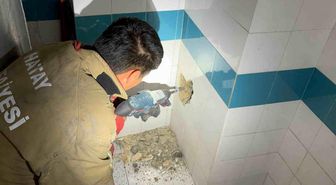 Bacadan düşerek mahsur kalan yavru kedi duvarın kırılmasıyla kurtarıldı