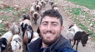 Mardin'de Çobana Silahlı Saldırı: 1 Ölü
