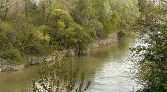 Sakarya Nehri'ne düşen çocuk didik didik aranıyor