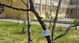 Edirne İlhami Ertem Anadolu Lisesi öğrencilerinden anlamlı etkinlik