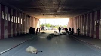 Hatay'da otomobilin çarptığı sürüdeki 17 koyun öldü