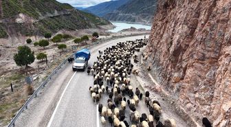 Yayla yolunda zorlu göçler başladı