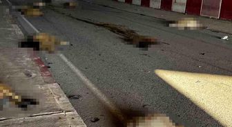 Otomobil sürüye daldı, 17 koyun telef oldu