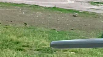 Adana'da tüfekli sopalı kavga kamerada