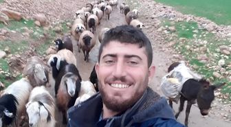 Mardin'de çobanın öldürüldüğü silahlı saldırıya ilişkin 5 tutuklama