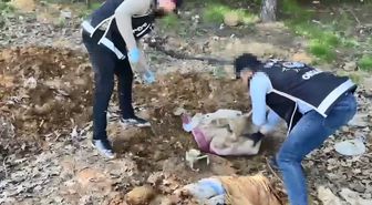 Pendik'te düzenlenen operasyonda toprak altındaki depoda binlerce silah parçası bulundu
