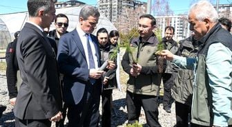 22 yılda 109 milyon 508 bin adet fidan toprakla buluştu