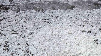 Elazığ'da dolu etkili oldu