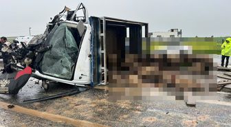 Siirt'te koyun yüklü kamyonet ile otomobil çarpıştı: 2 ölü, 3 yaralı