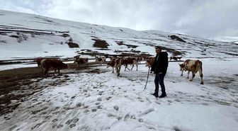 Ardahan'da kış mevsiminin uzaması hayvancılığı vurdu