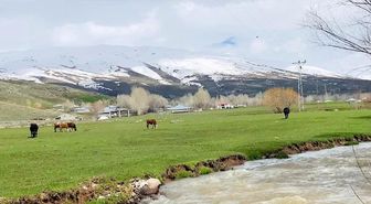 Ağrı'da iki mevsim bir arada
