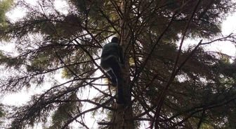 Artvin'de 40 metrelik göknar ağacının tepesine takılan dronu böyle kurtardılar