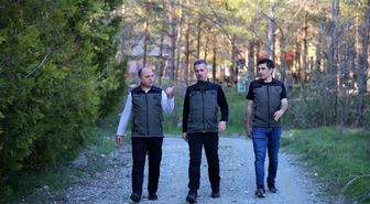 Erzincan'da orman projeleri incelendi