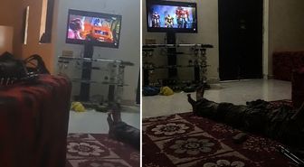 Mali’de ele geçirilen üste dikkat çeken anlar; askerler Tranformers izledi
