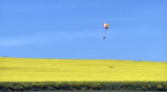 Sarı renge bürünen kanola tarlası üzerinde paramotorla uçtu