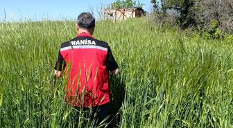 Sarıgöl'de huhubatta verim için ekipler sahada