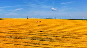 Tekirdağ'da sarı şölen: Paramotorlar sarı tarlaları gezdi