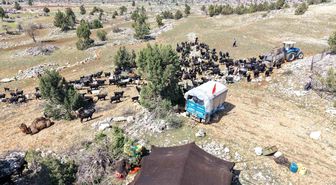 Toroslar'da Yörük göçü başladı: Sarıkeçililer yayla yolunda
