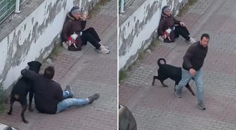 Rottweiler, küçük köpeğe saldırdı! Kadının çığlıkları mahalleyi inletti