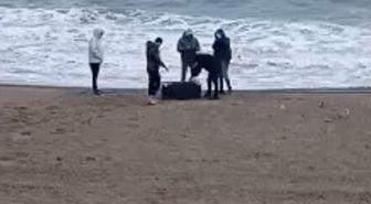 Sakarya'da sahile vuran çantadan 21,5 kg uyuşturucu çıktı