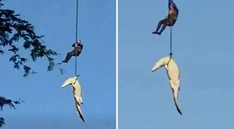 Helikopterle timsah avı: İnsan yiyen canavarı nehirden böyle çıkardılar