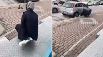 Kedinin yüzüne sprey sıkan market çalışanı gözaltına alındı